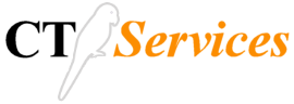logo CT services
